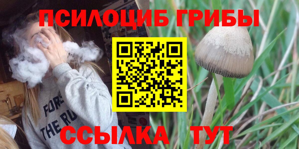 Галлюциногенные грибы прущие грибы  Галлюциногенные грибы мицелий  Орехово-Зуево  Вход с VPN 